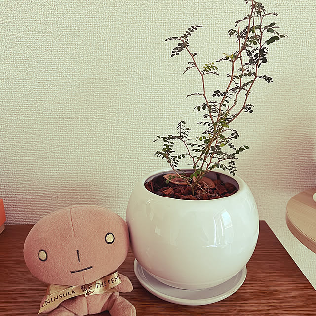 nejibanaさんの実例写真