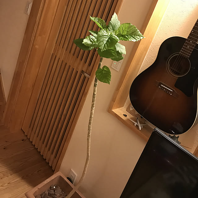 momotarosanさんの実例写真