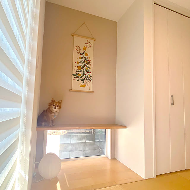 comoさんの実例写真
