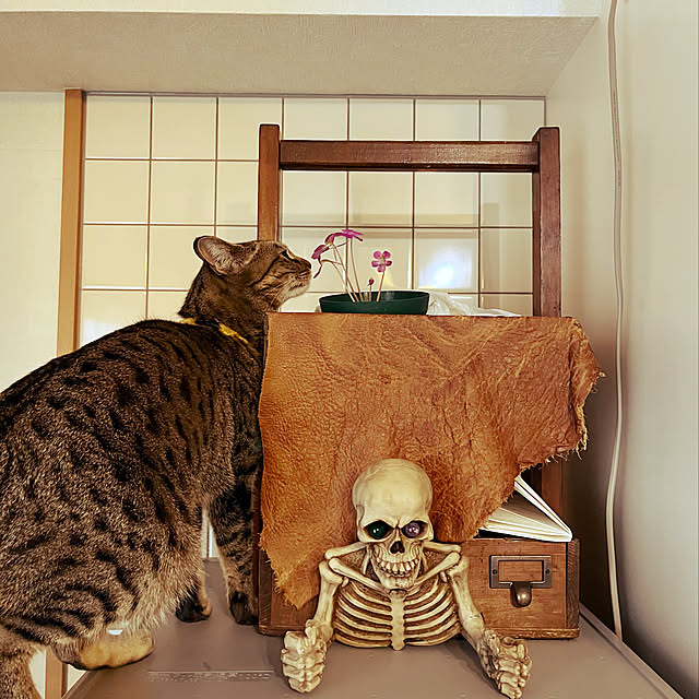 Mさんの実例写真