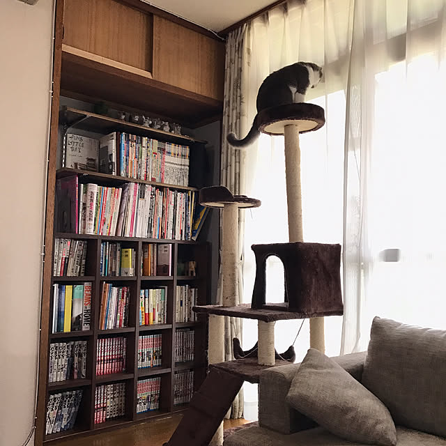 hacchiさんの実例写真