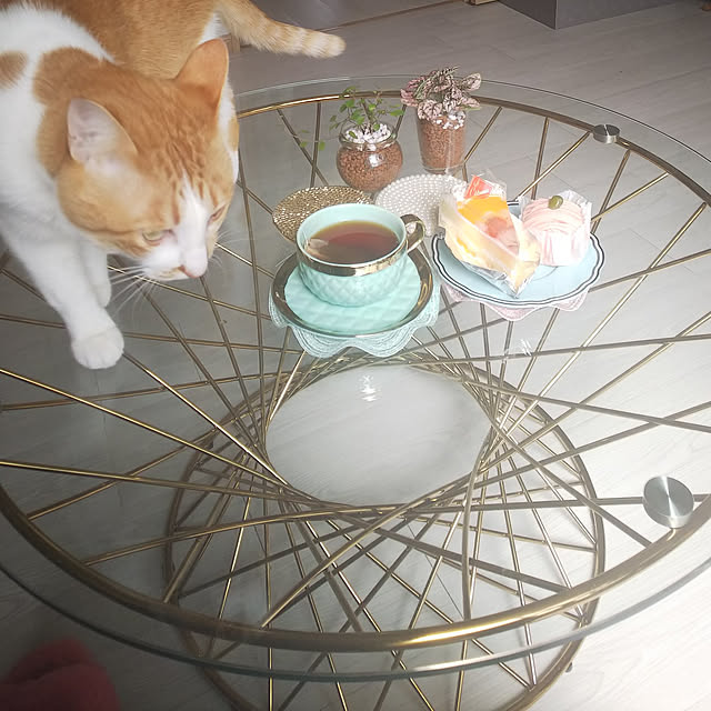 uutann320mozukuさんの実例写真