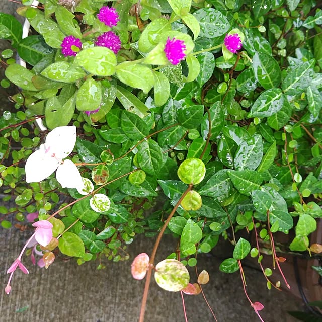 katさんの部屋