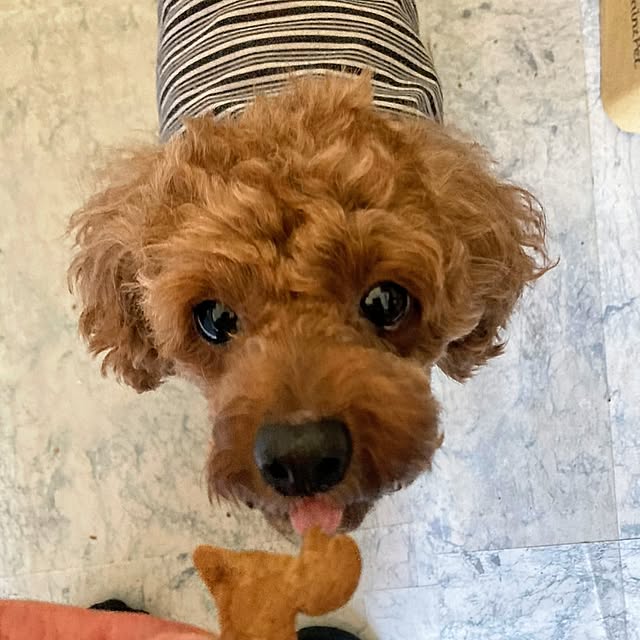 MOMOMAMAさんの部屋