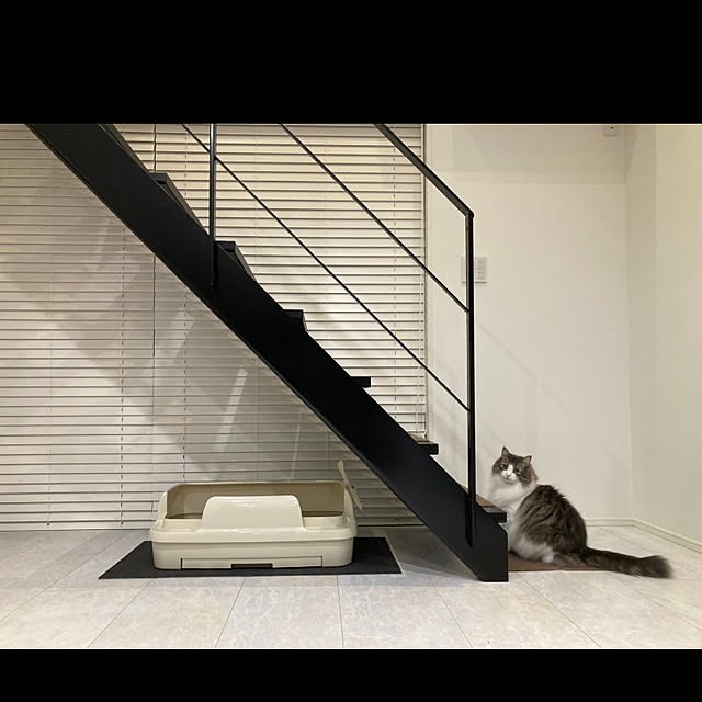 BelleCatさんの実例写真