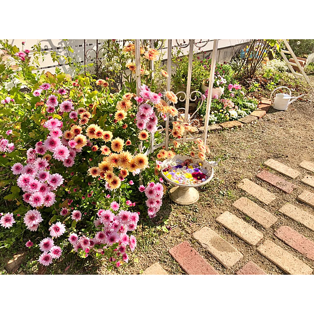 ponさんの実例写真