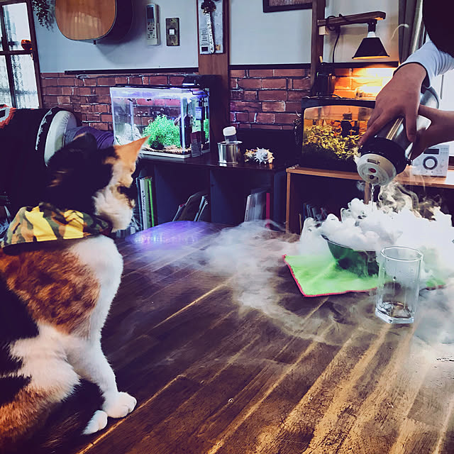 maroさんの実例写真