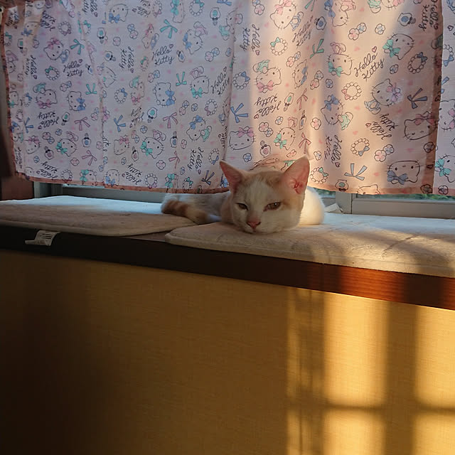 muuchanさんの実例写真