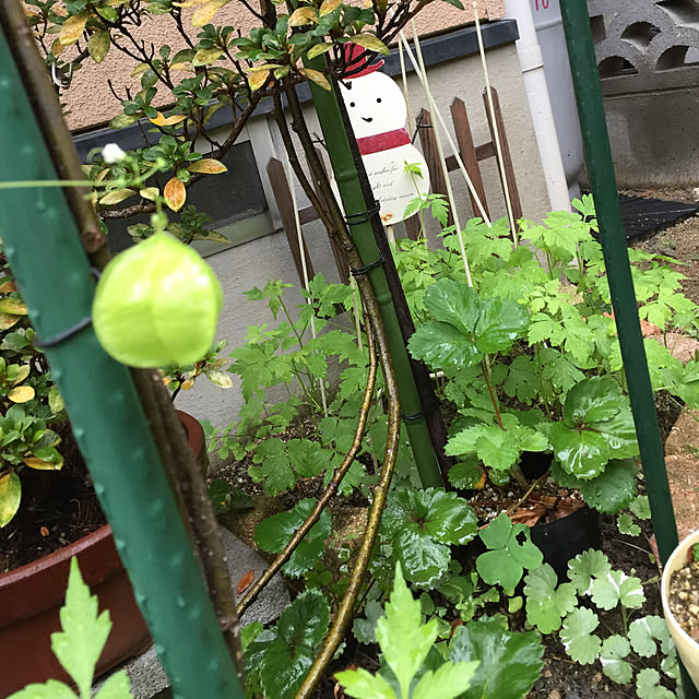 takakoさんの実例写真