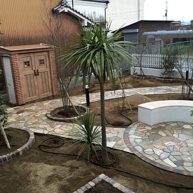 実例写真