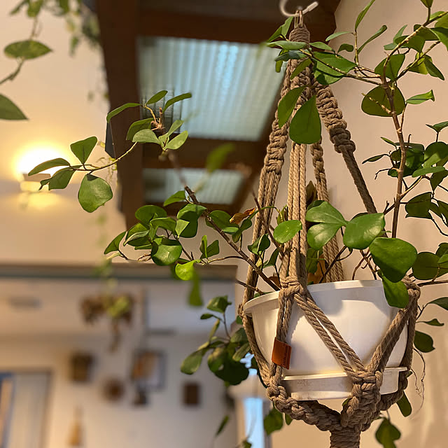 taakoさんの部屋