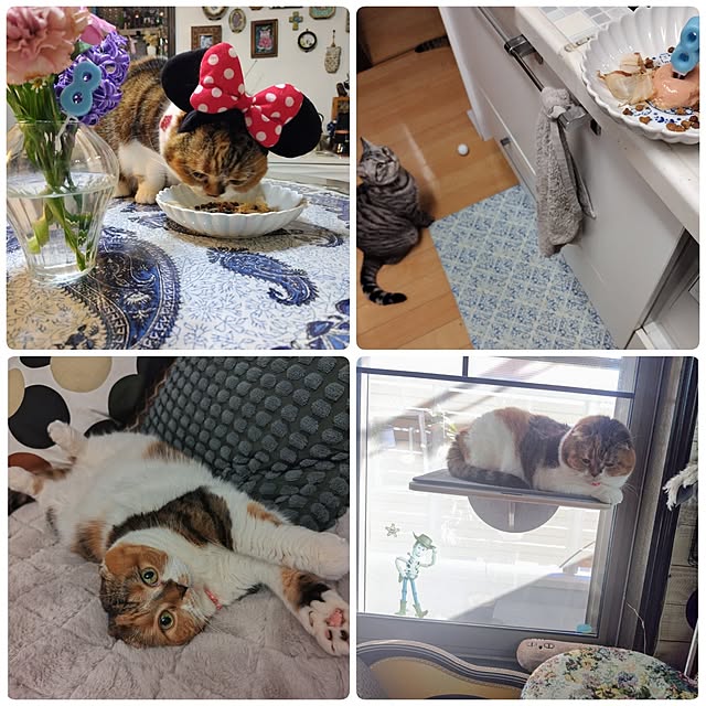 hiro3さんの部屋