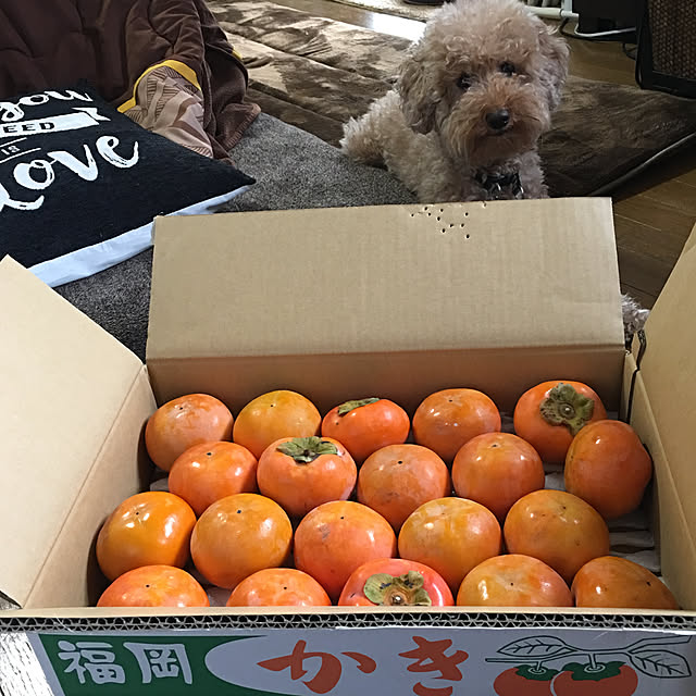 ronmaruさんの実例写真