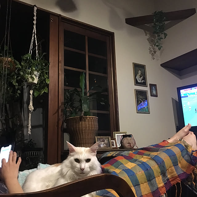 shigimiさんの実例写真