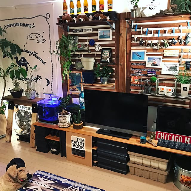 ka-zu23さんの実例写真