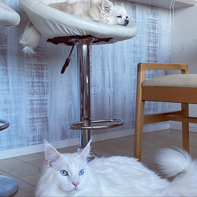 Lionaさんの実例写真