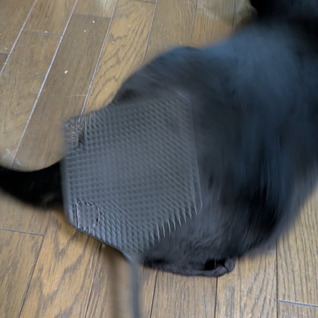asaさんの部屋