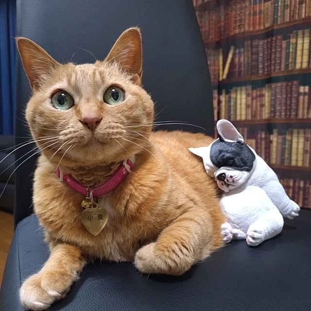 NOAHさんの部屋
