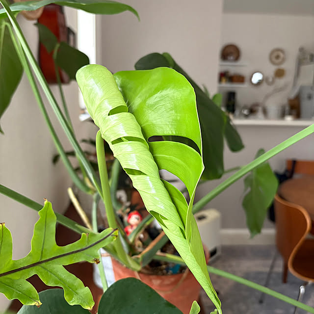 ck202さんの部屋