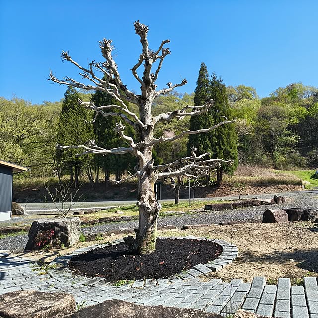 Rubiconさんの部屋