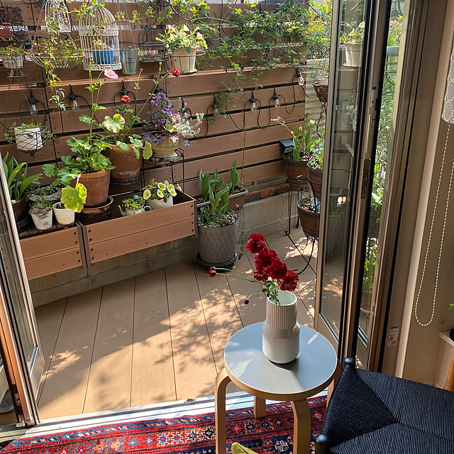 fu-mufumuさんの部屋