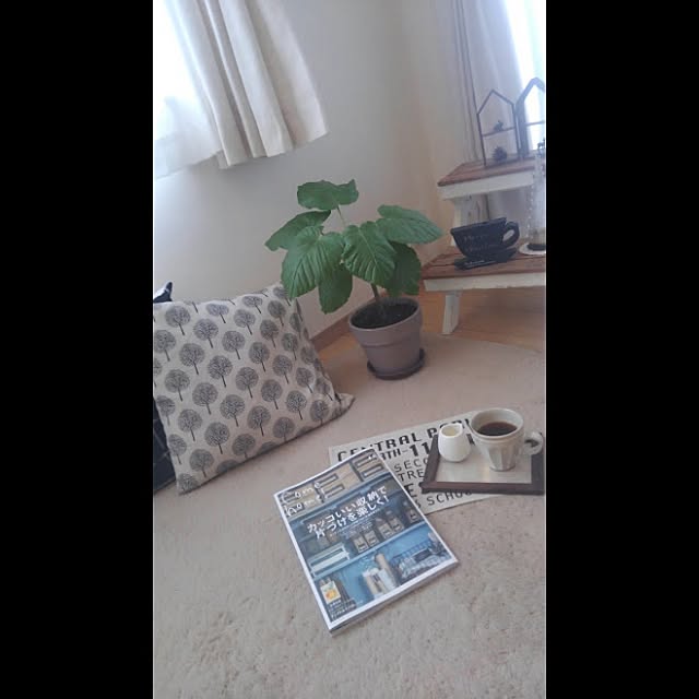 maoriさんの実例写真