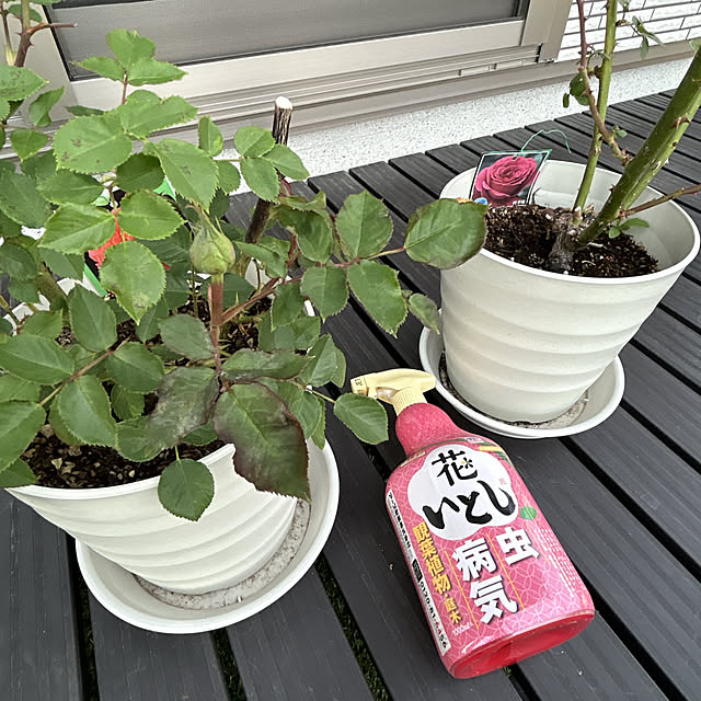 yunyumさんの部屋