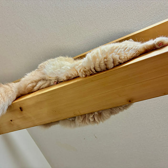 naokoさんの部屋