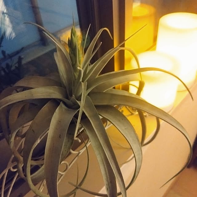 kerochanさんの部屋