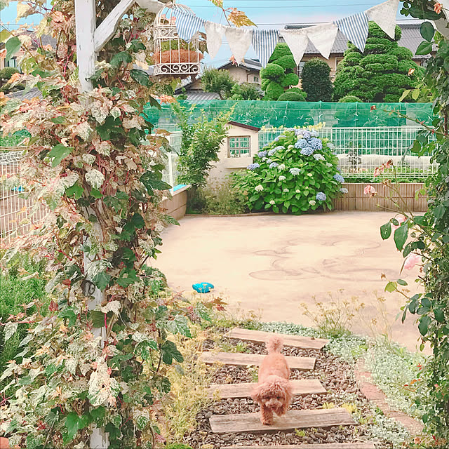 candybuttonさんの実例写真