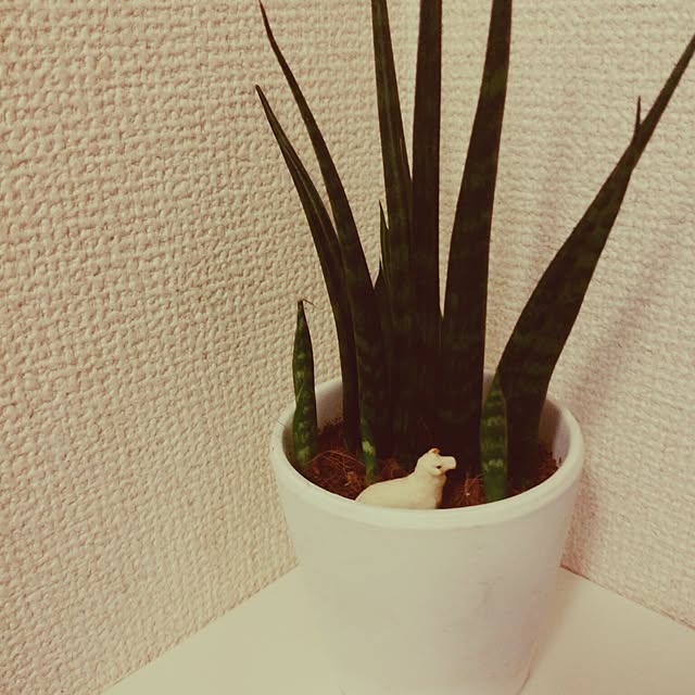 10さんの実例写真