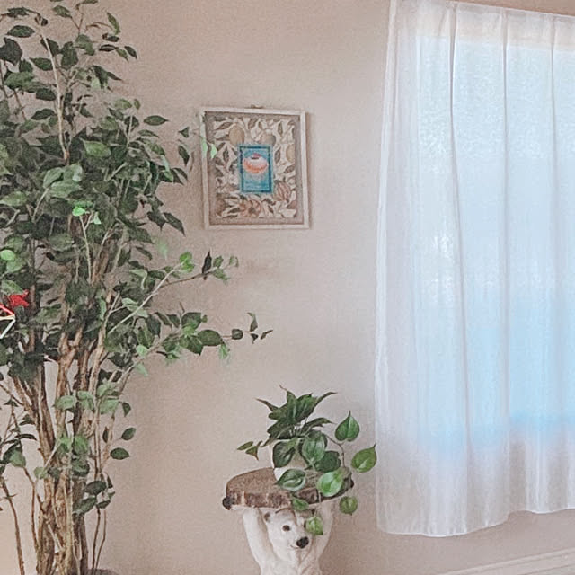 K84Roomさんの実例写真