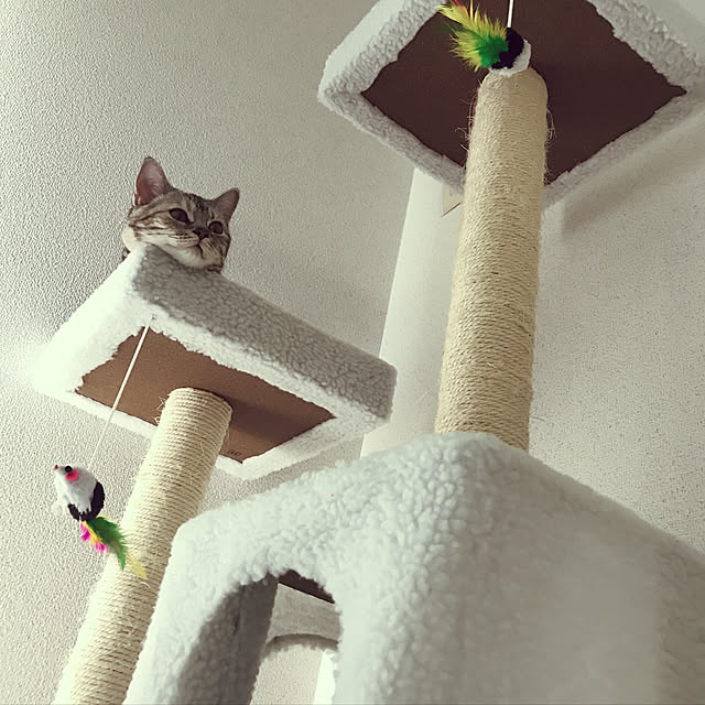 tajaboさんの実例写真
