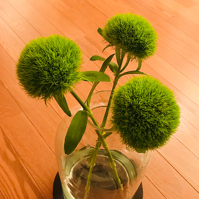 mogusunさんの実例写真