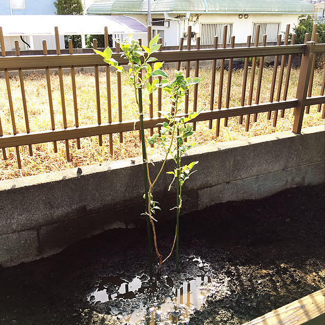 nanaさんの実例写真