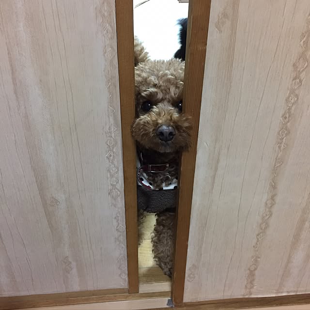 mizutamaさんの実例写真