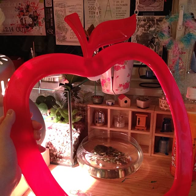 kinoko8oさんの実例写真