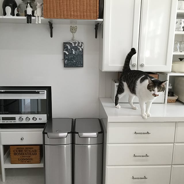 yuchiさんの実例写真