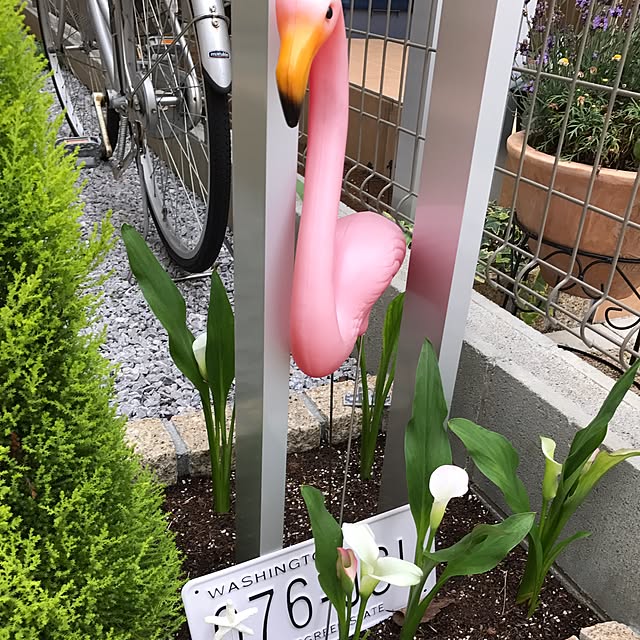tantakatanさんの実例写真