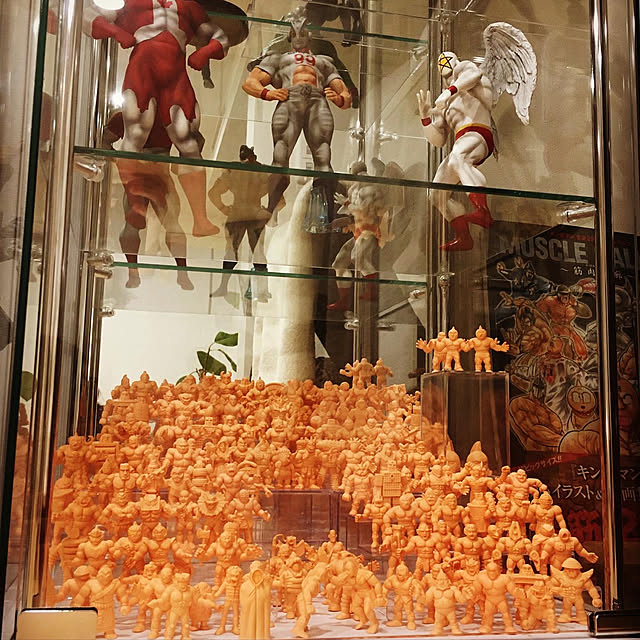 不二貿易 コレクションケース フィギュアケース 4段 幅42.5×奥行 不二貿易 コレクションケース フィギュアケース 4段 幅42.5×奥行
