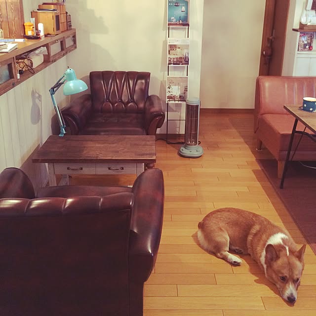 noraさんの実例写真