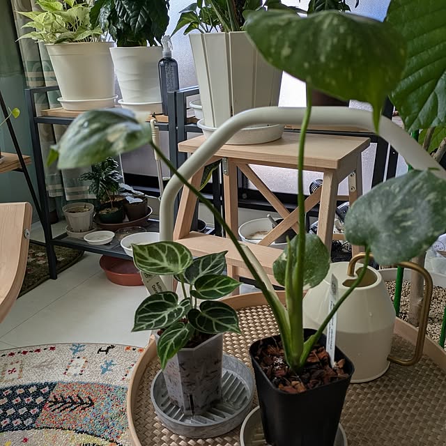 kolo92さんの部屋