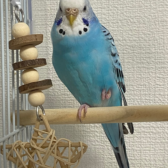 ohanaさんの部屋