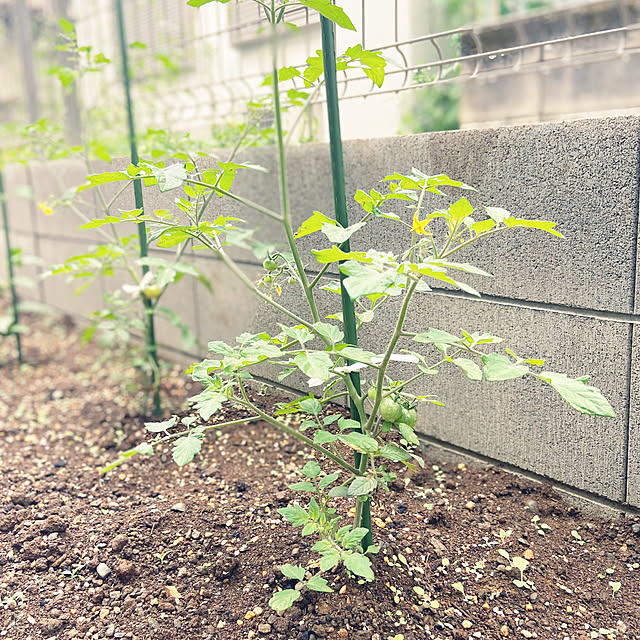 Haruさんの部屋