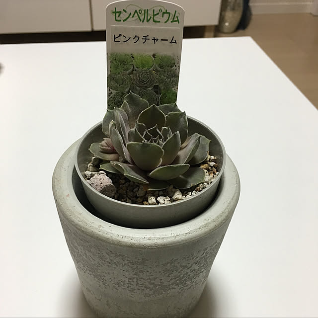 LuLuさんの実例写真