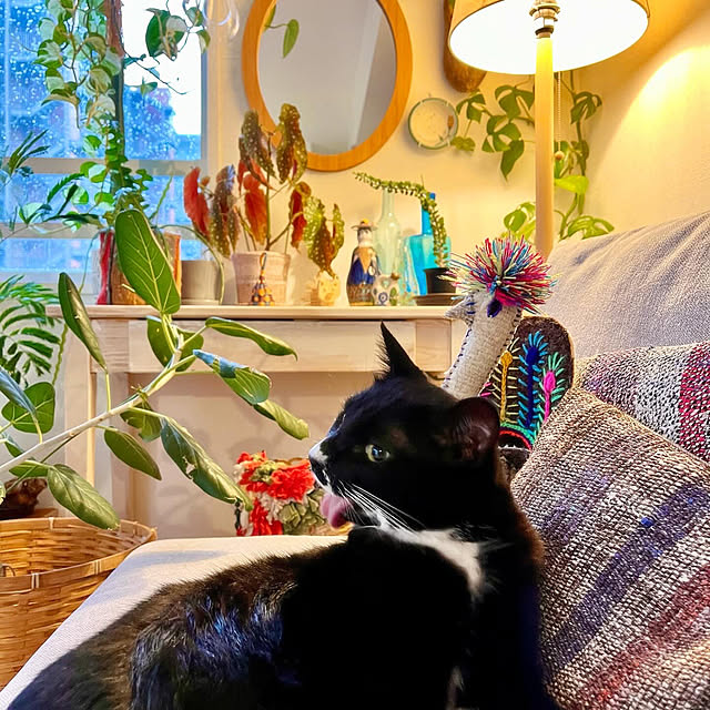 ochoriさんの部屋