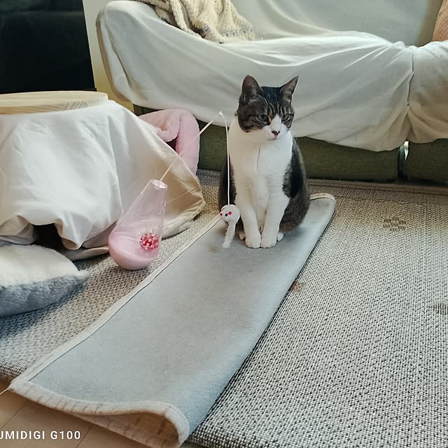 civicglさんの部屋