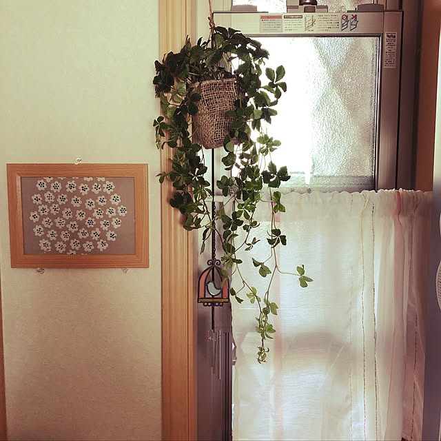 michanさんの実例写真