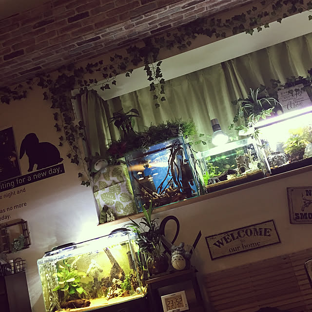 Moronokimiさんの実例写真