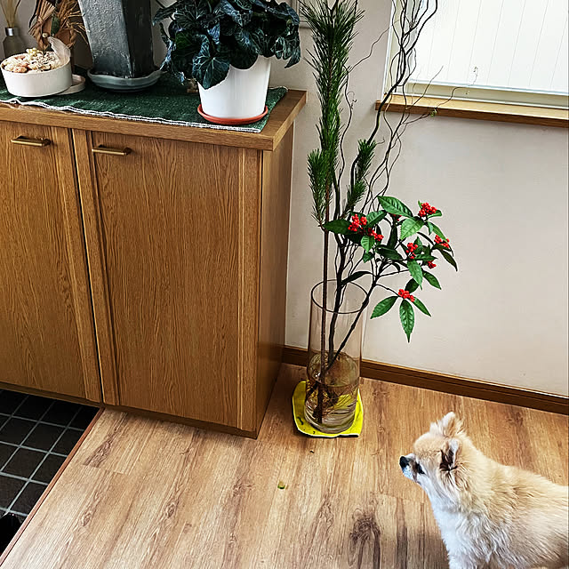 tokoさんの実例写真